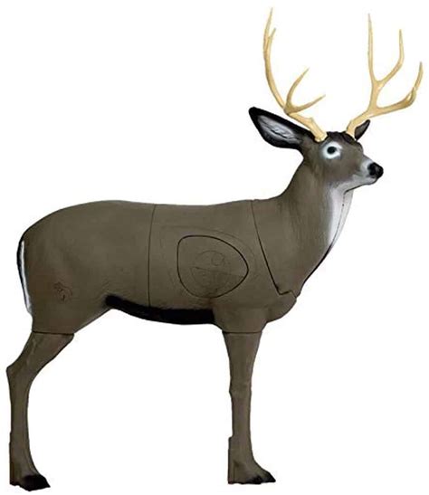 3d deer target for crossbow.